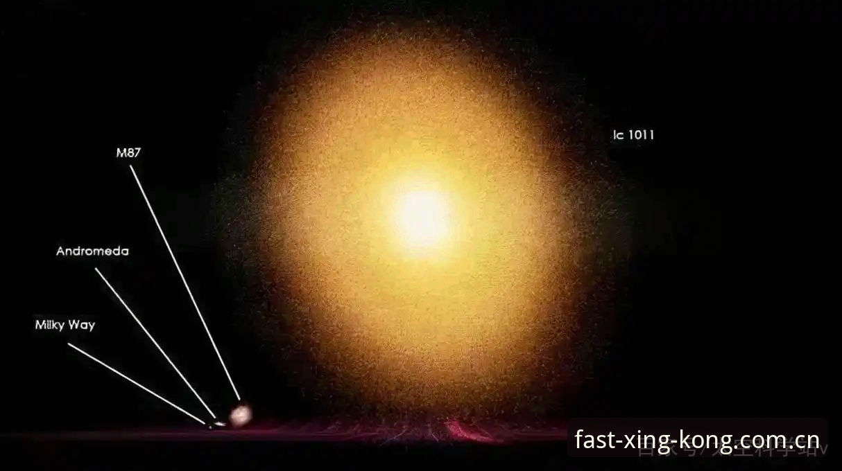 2026星空ky体育数据 2026星空ky体育数据深度评测:新手从下载到上手的完整记录